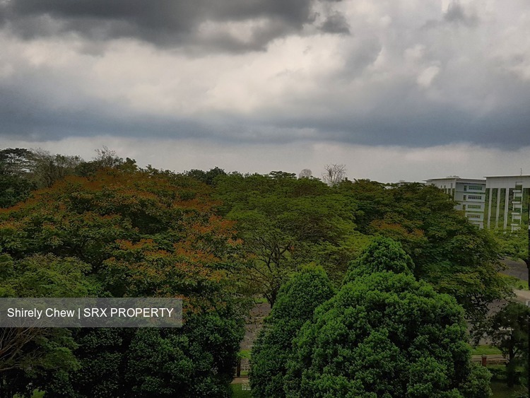Blk 538 Ang Mo Kio Avenue 5 (Ang Mo Kio), HDB 4 Rooms #169542362
